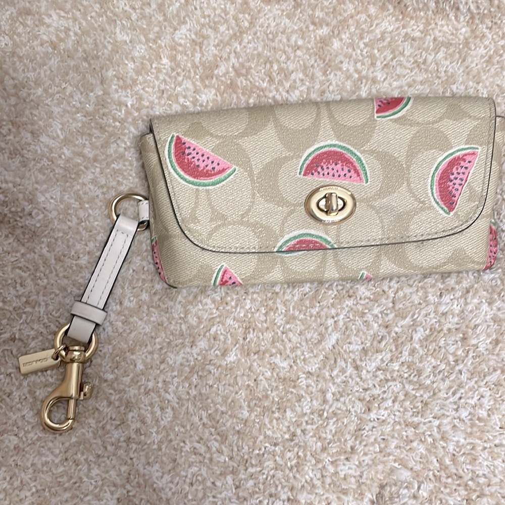 Coach Watermelon Sunglasses Case
